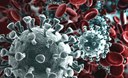 Disposizioni Fase 2 Coronavirus